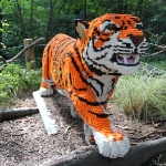 Tiger z lega