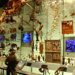 Hall of biodiversity