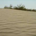 Sand dunes