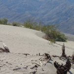 Sand dunes