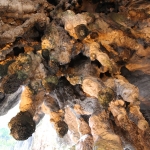 Batu caves
