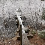 IMG_5639