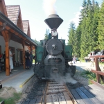 Historická lesná úvraťová železnica
