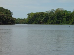 Plavba