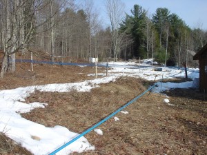 Hadice na javorový sirup