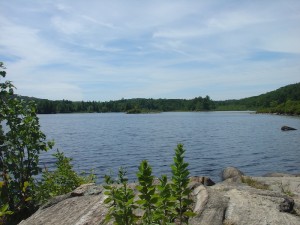 Island Pond