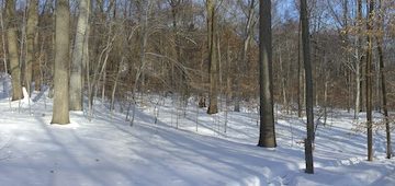 South Mountain Reserve