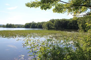 Lake Jefferson