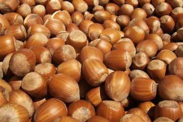 Am I nuts?