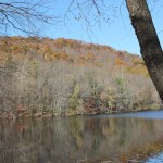 Scarlet Oak Pond