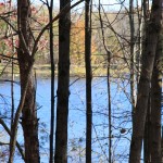 Scarlet Oak Pond