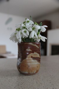 Snežienky