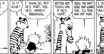 calvin