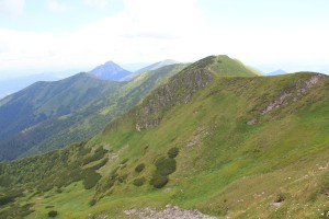 Hrebeňovka